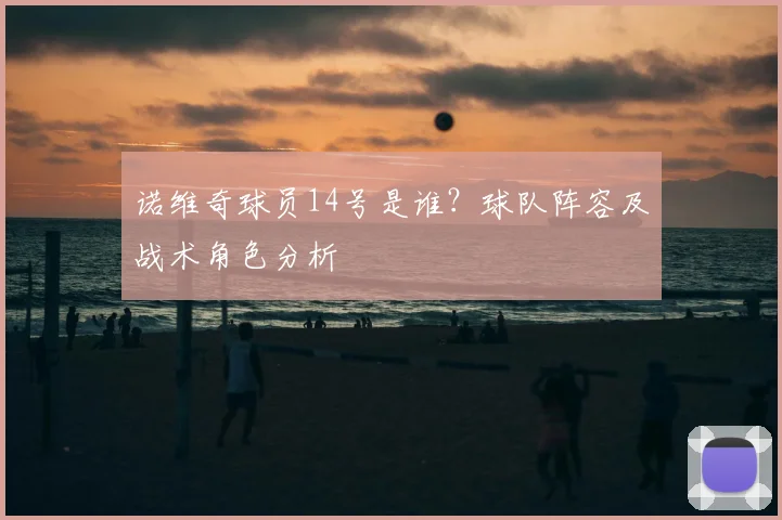 诺维奇球员14号是谁？球队阵容及战术角色分析