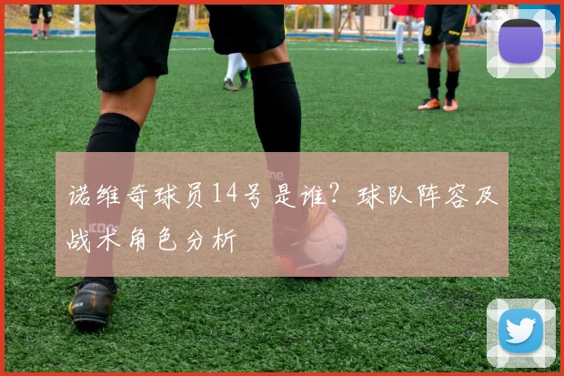 诺维奇球员14号是谁？球队阵容及战术角色分析
