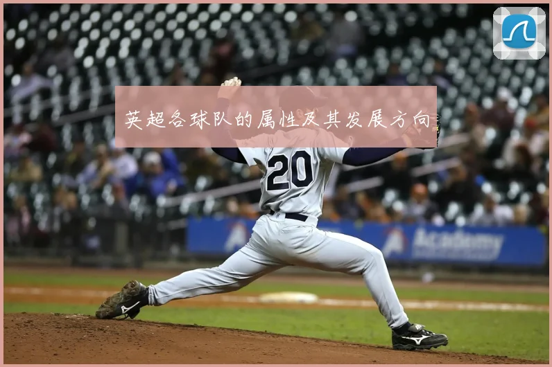 英超各球队的属性及其发展方向
