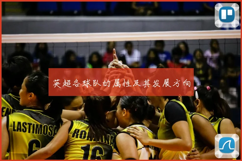 英超各球队的属性及其发展方向