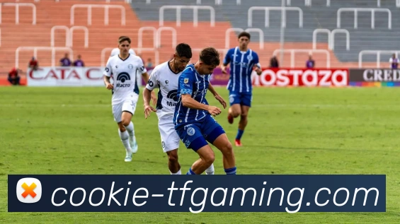 雷火电竞APPAPP 封面图